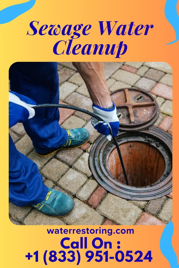 Sewage Water Cleanup in Round Lake Heights, IL